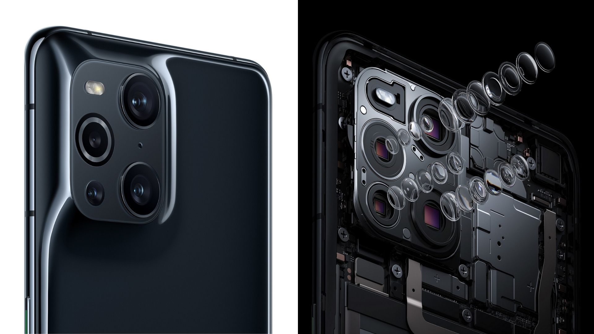 Microscopic photography with the Oppo Find X3 Pro in the Middle East